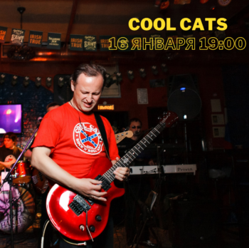 16.01. COOL CATS