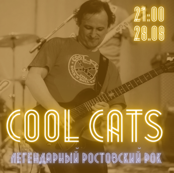 🎸COOL CATS🎸