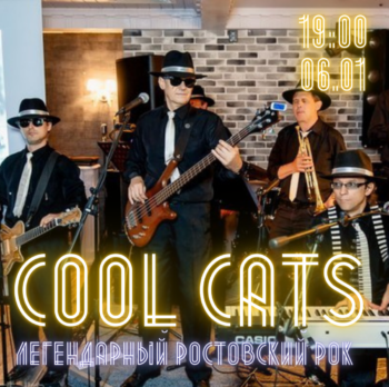 🔥COOL CATS🔥