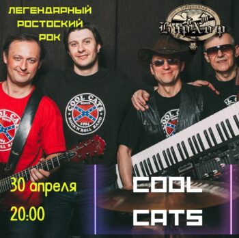 Cool Cats